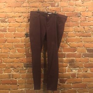 Loft plus brand new jeggings